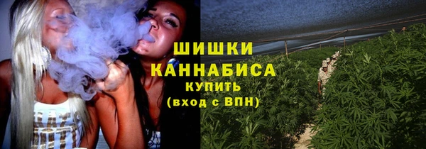 скорость Ельня
